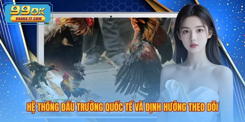 he-thong-dau-truong-quoc-te-va-dinh-huong-theo-doi Bản đồ sới gà Thomo và các đấu trường Sabong quốc tế